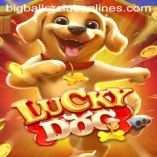 Discovering LuckyDog: An Exciting Venture into the BIG BALLER CLUB